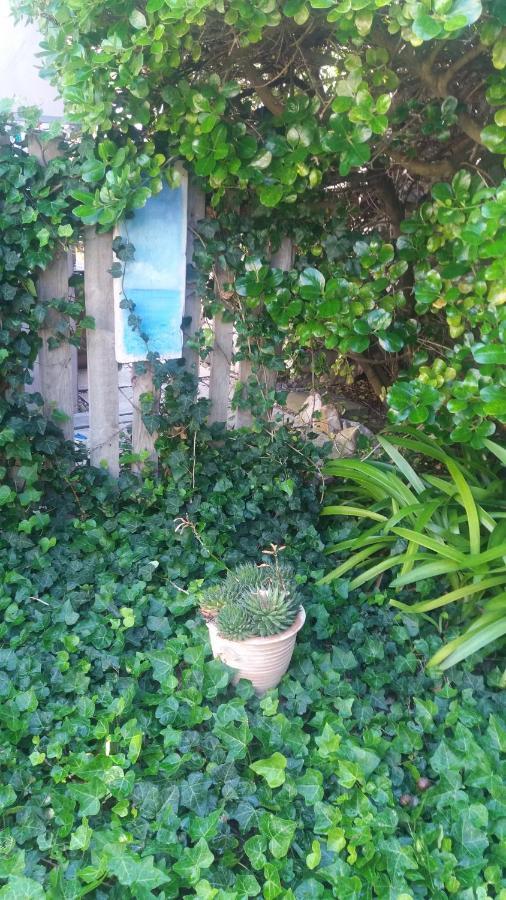 Apartament The Gift Przylądek Igielny Zewnętrze zdjęcie